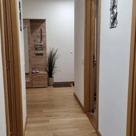 Apartment Dea Lux - Garage Parking -wifi Novi Sad